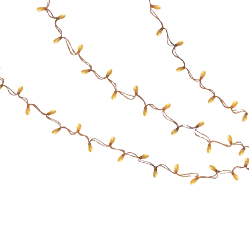 Diwali lights